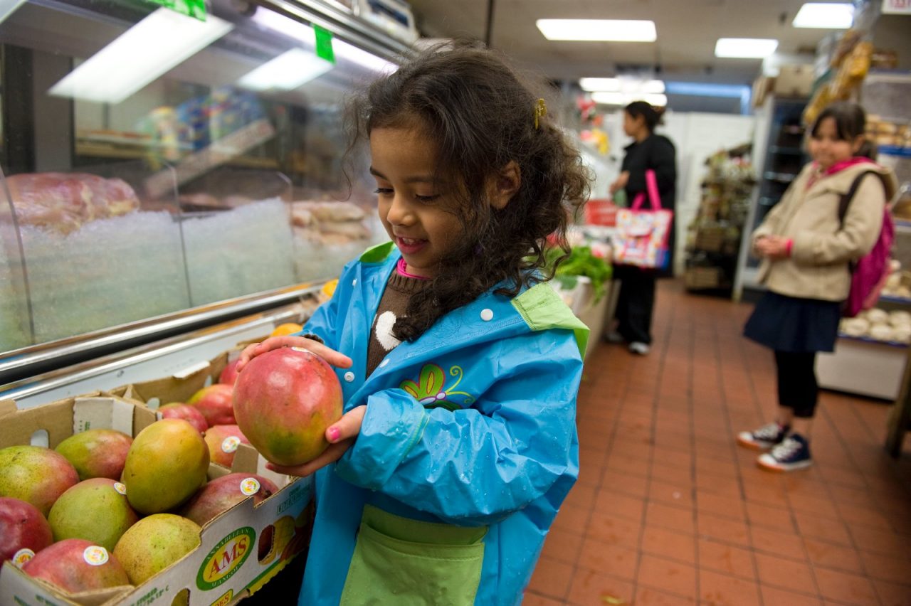 A young girl shopping for fresh produce. 