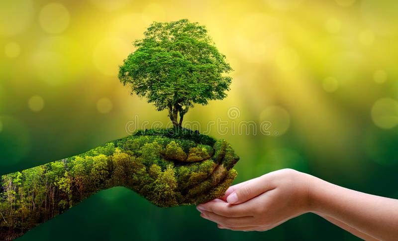 env