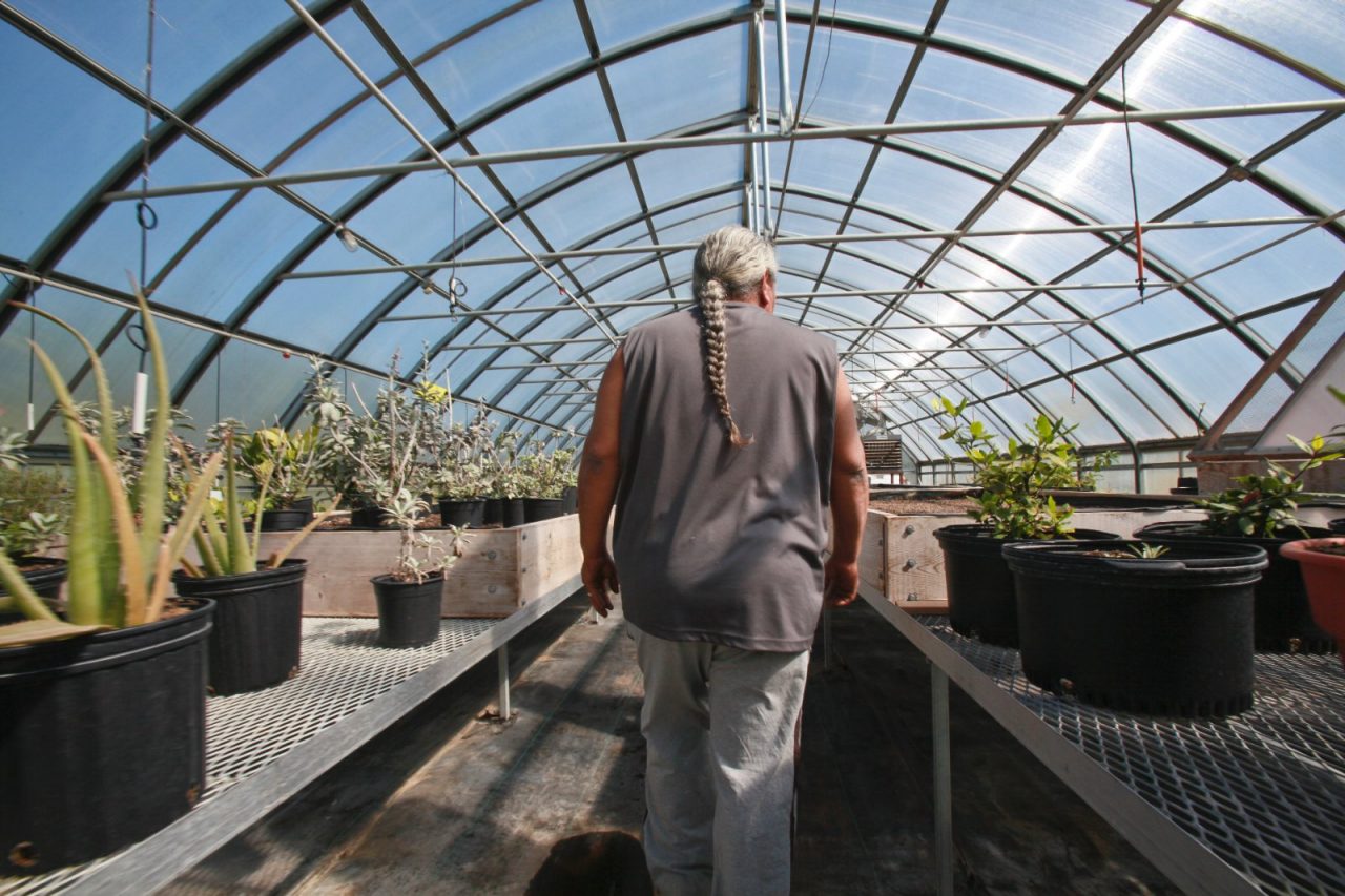 A man walking past plants in a greenhouse.