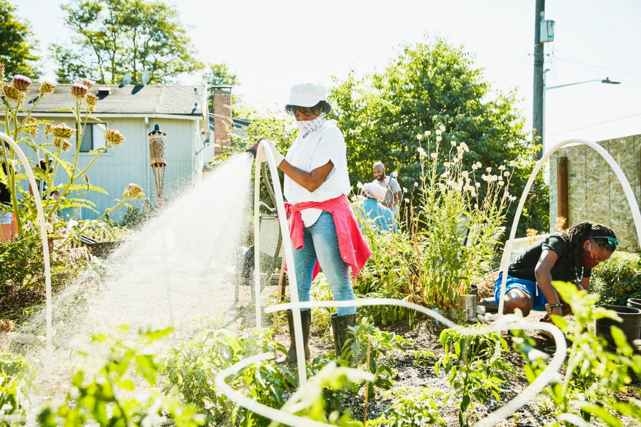 Senior woman watering plants while working with friends on urban garden