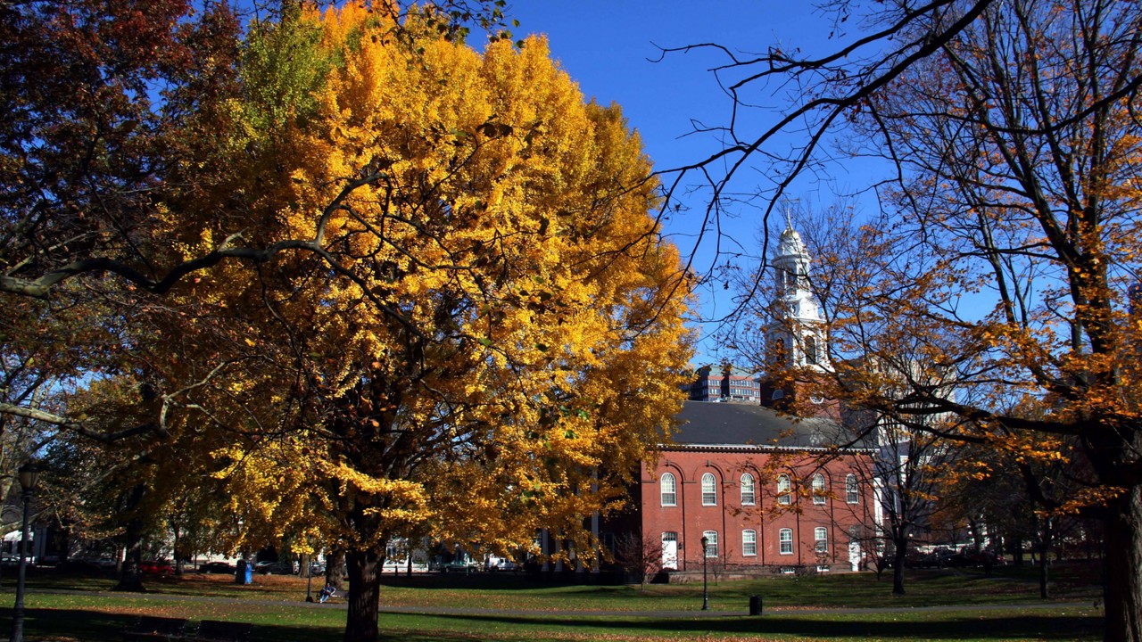 New Haven