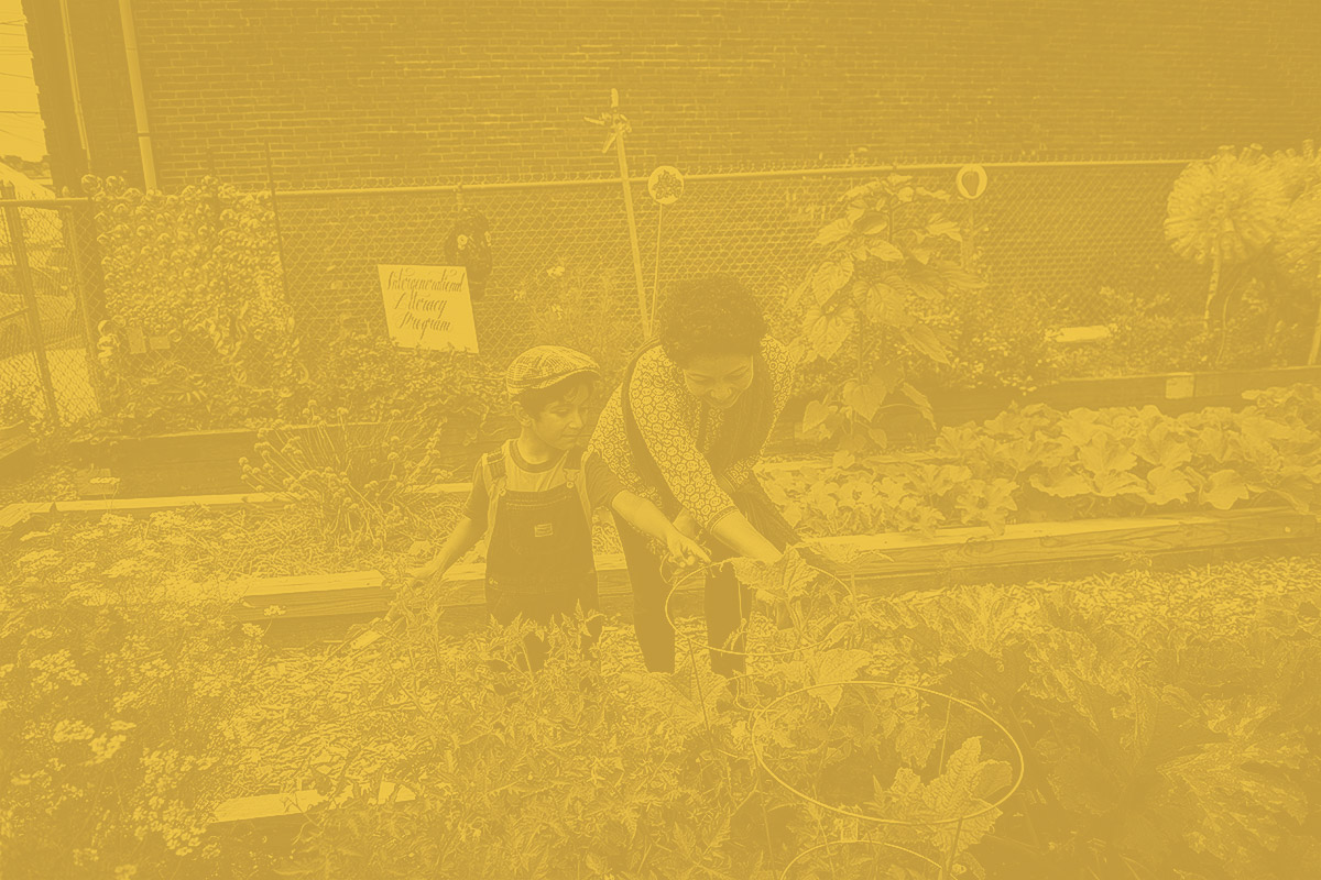 Zinnat Rahana, who is originally from Bangladesh, and her son Zahin Zawad, 5, look for new vegetables in their plot at at the Chelsea Community Garden. The garden was started in 1996 and sits just yards away from the rock salt piles stored within the city.