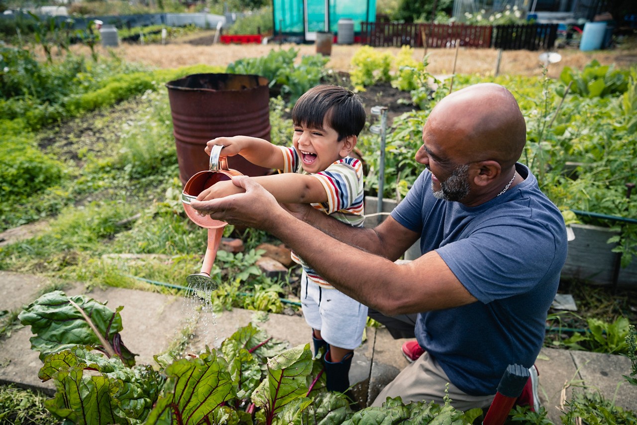 A front view shot of a young grandson helping his grandfather around the garden. A front view shot of a young grandson helping his grandfather around the garden.