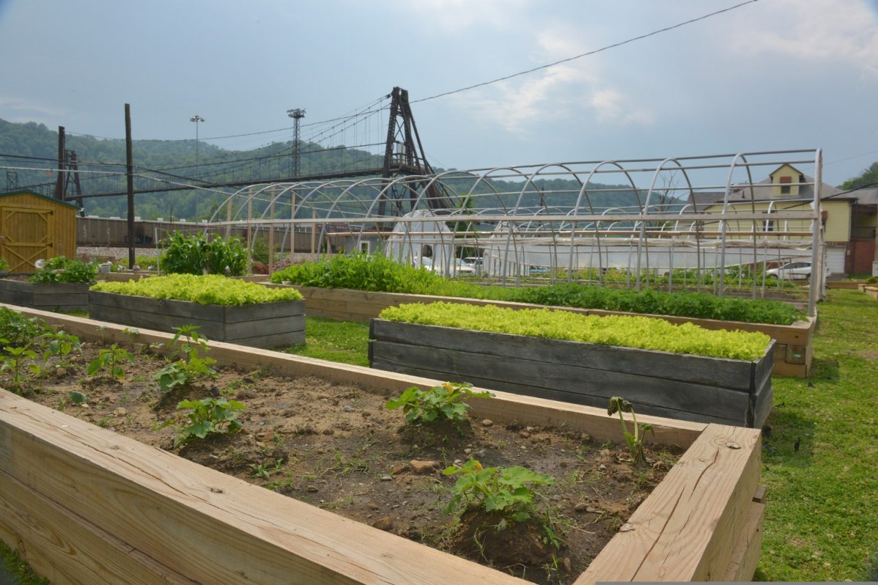 Residents plant edibles at a large community garden.