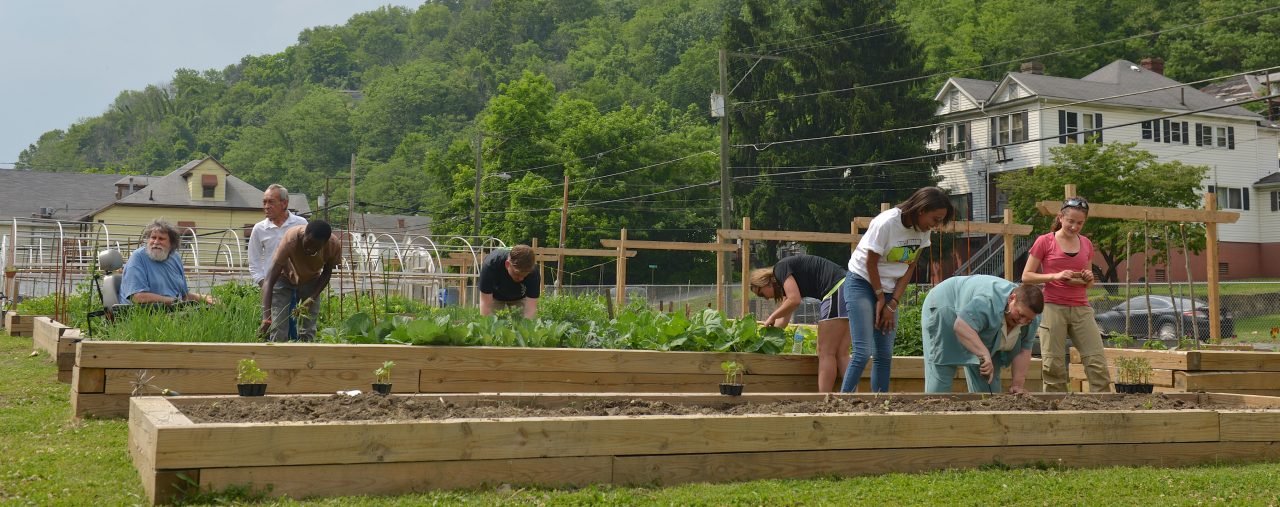 Local residents plant edibles at a community garden.