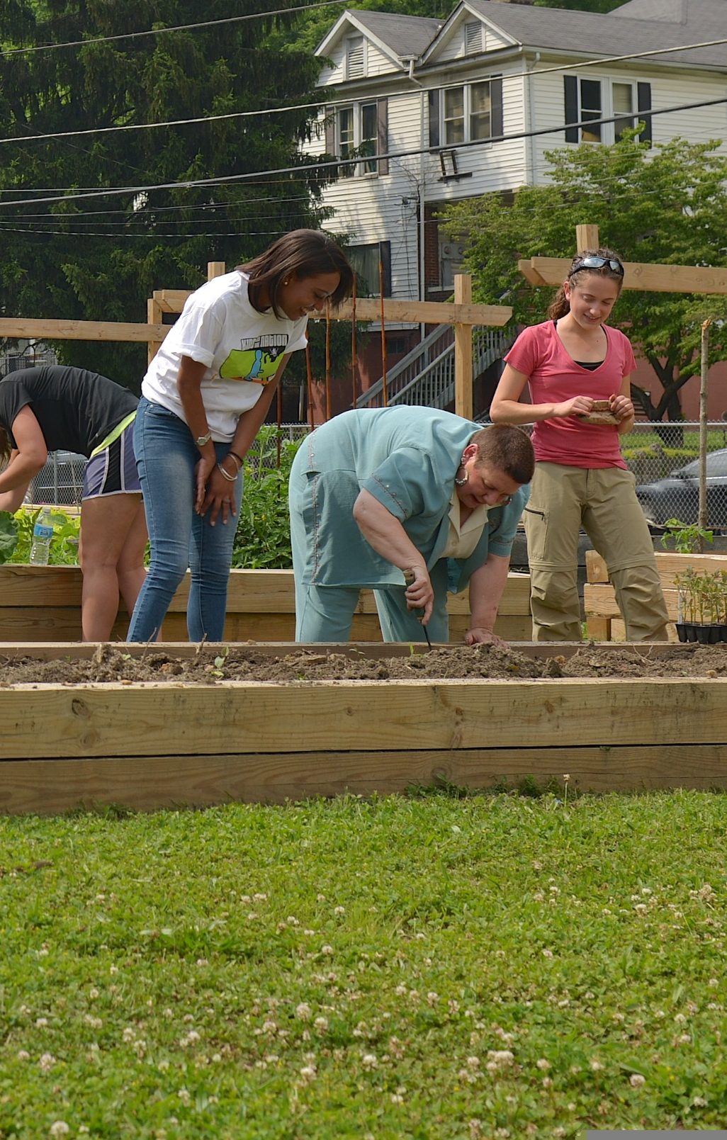 Local residents plant edibles at a community garden.