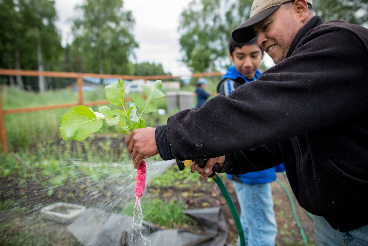 A man washes a plant while a young boy looks on in a garden. A man washes a plant while a young boy looks on in a garden.