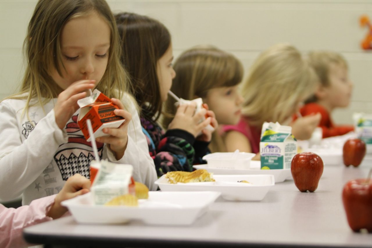 Young girls enjoying a healthy lunch in a school cafeteria.