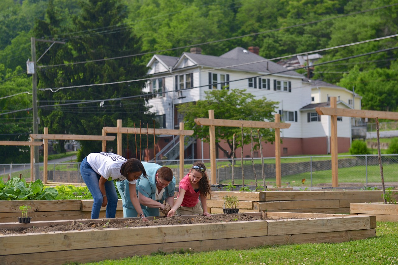 Joe Ramella Community Garden