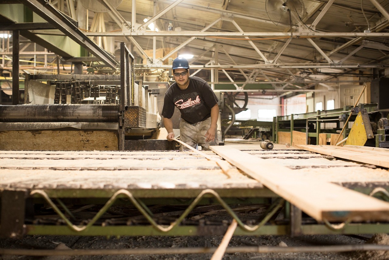 Wood Harvesting Hill