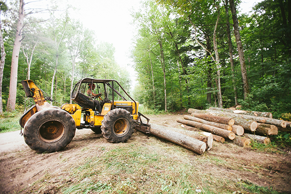 Sustainable Wood