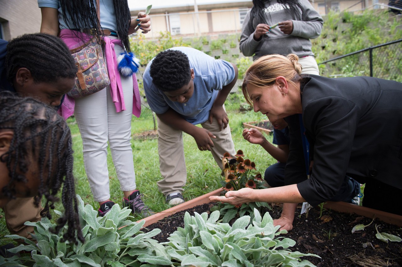 School Greenhouse