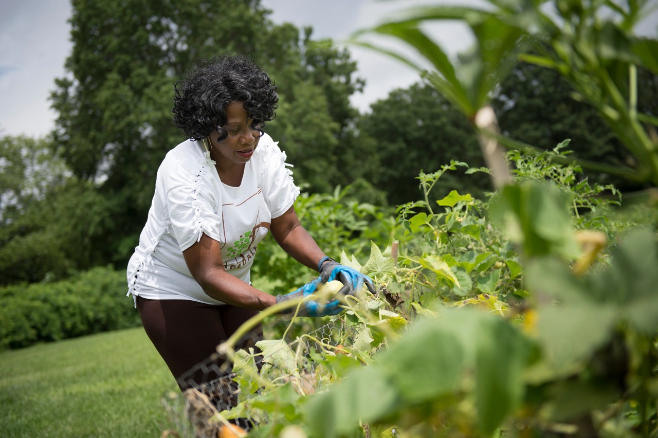 Community Gardening