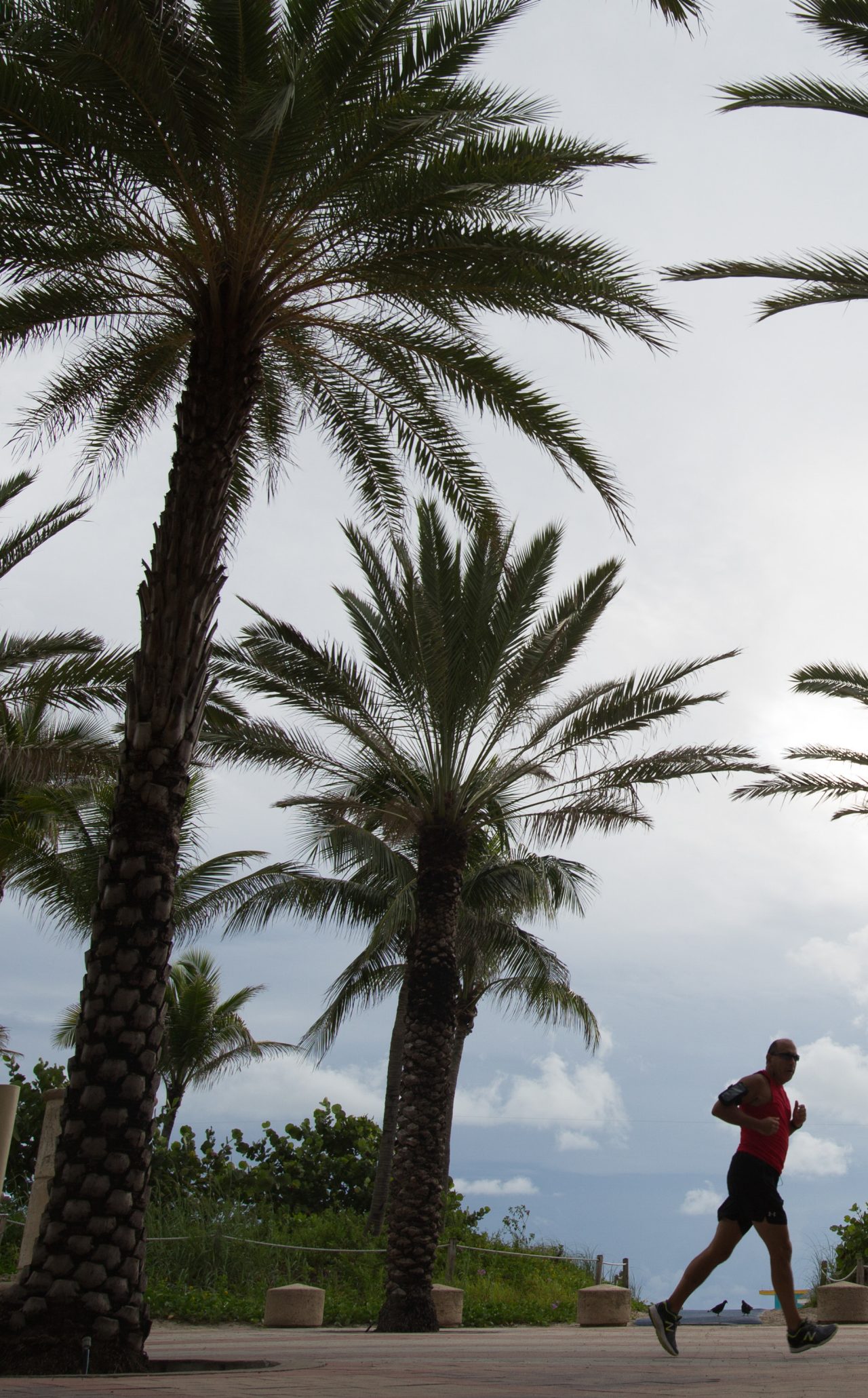 Florida Blue Foundation Mental Health Grant Enables Palm Health Foundation  to Impact Underserved Communities