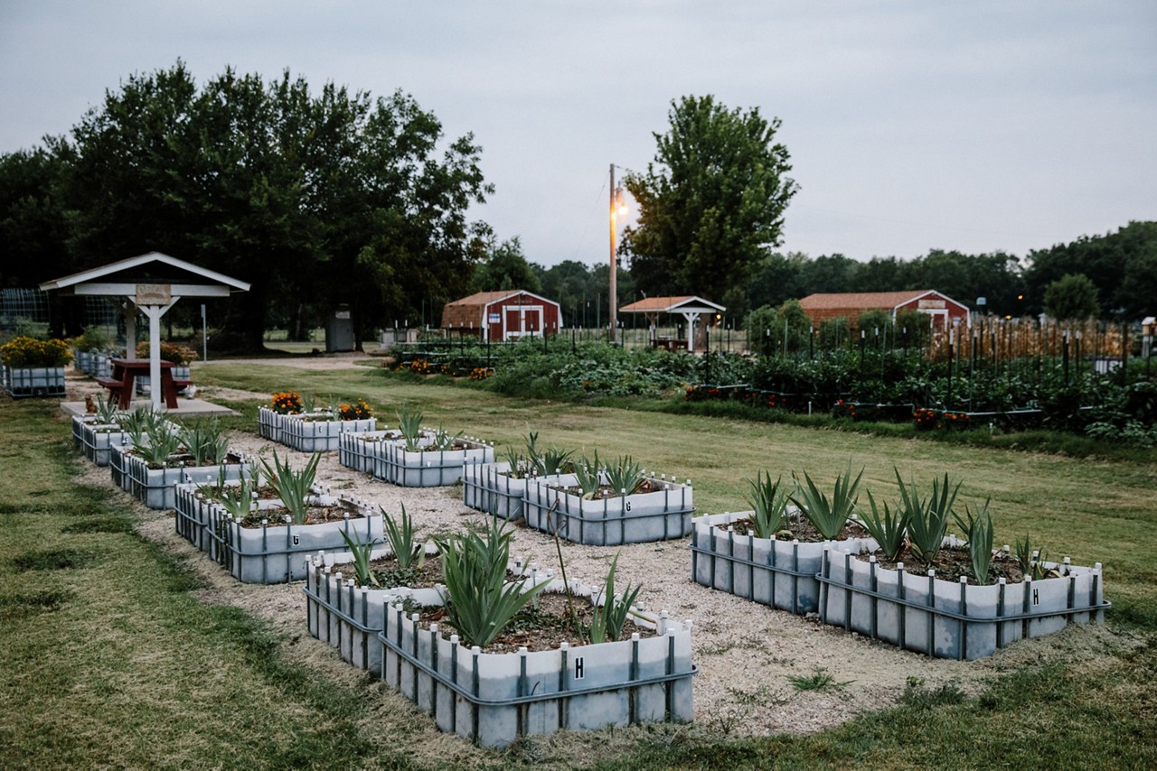 Iola's Elm Creek Community Garden at dawn.