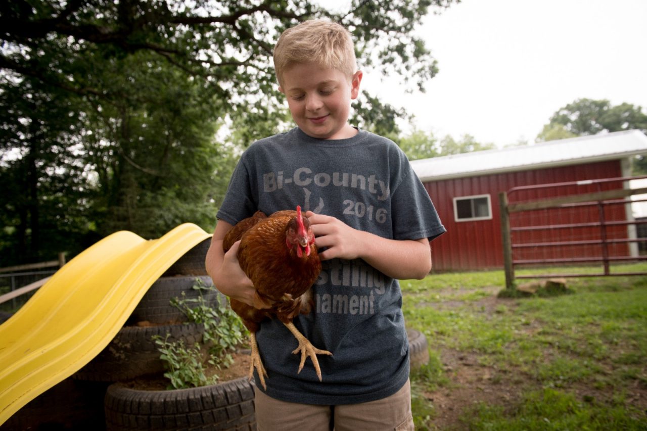 Student petting a chicken in front of a barn at school. 