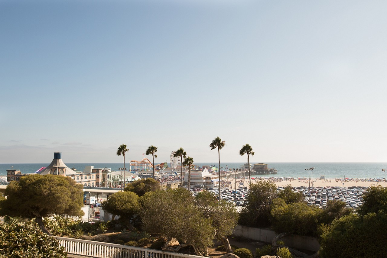 An aerial view of an ocean pier and palm trees.