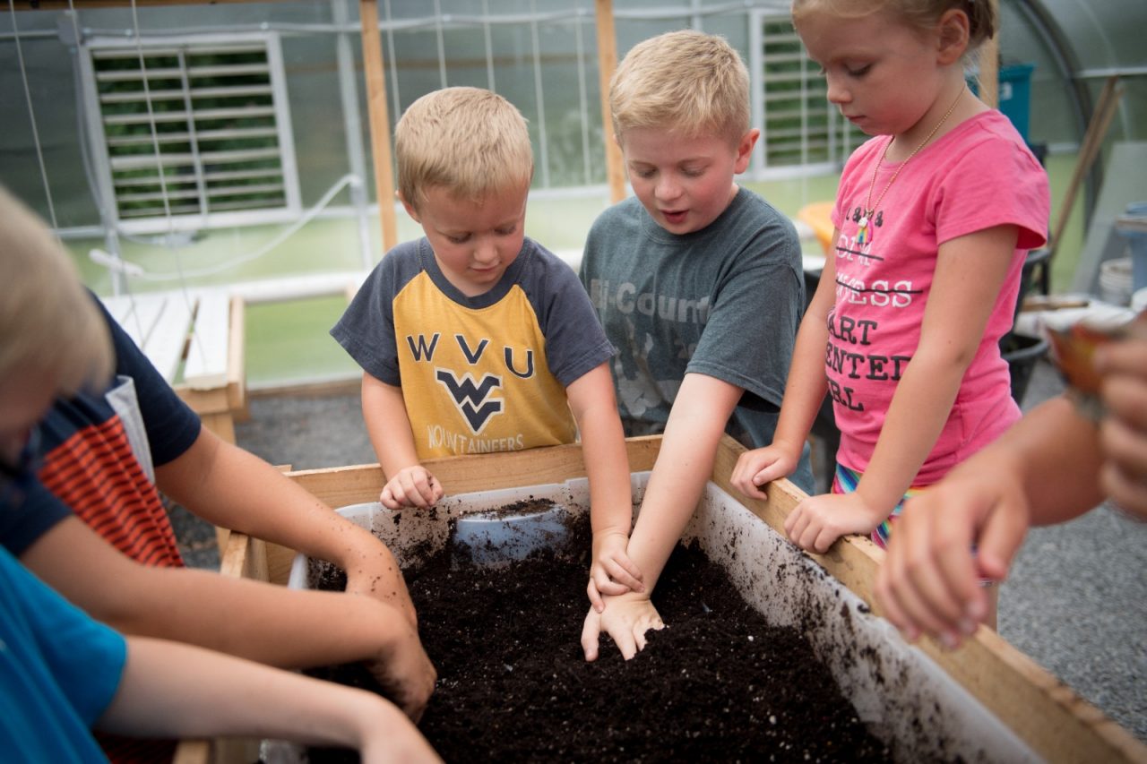 Children garden in the greenhouse at Crellin Elementary School. 