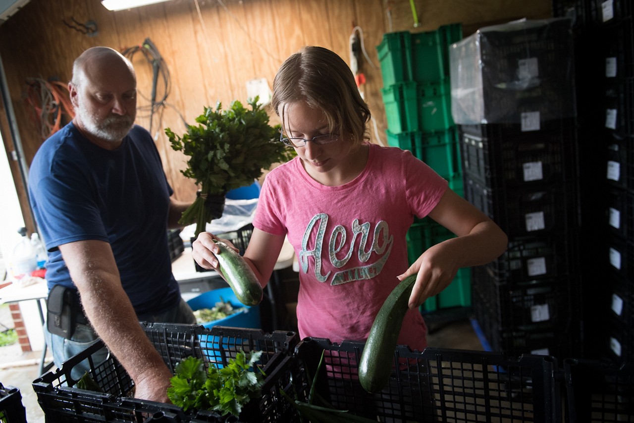 Father and daughter preparing boxes of fresh produce. 