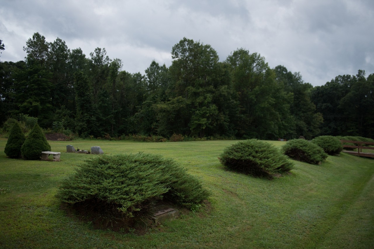 A row of grave sites on a wooded hill. 