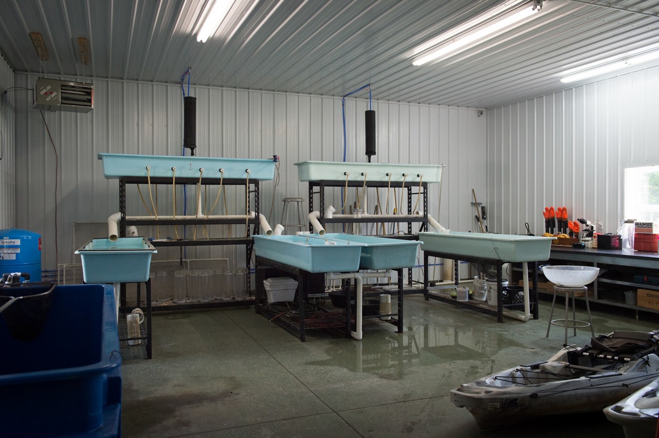 The interior of the salmon hatchery.