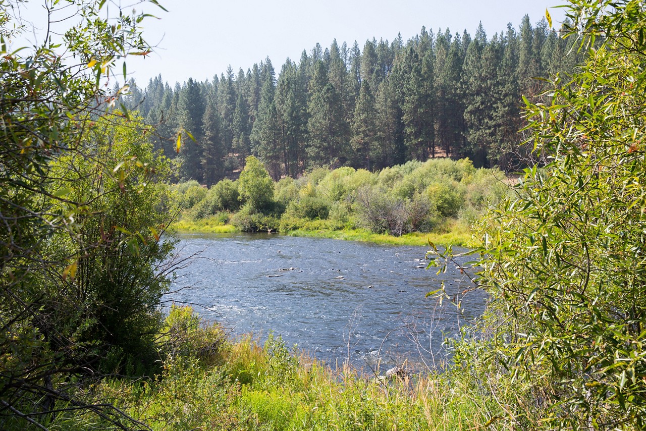 sex swingers in chiloquin oregon