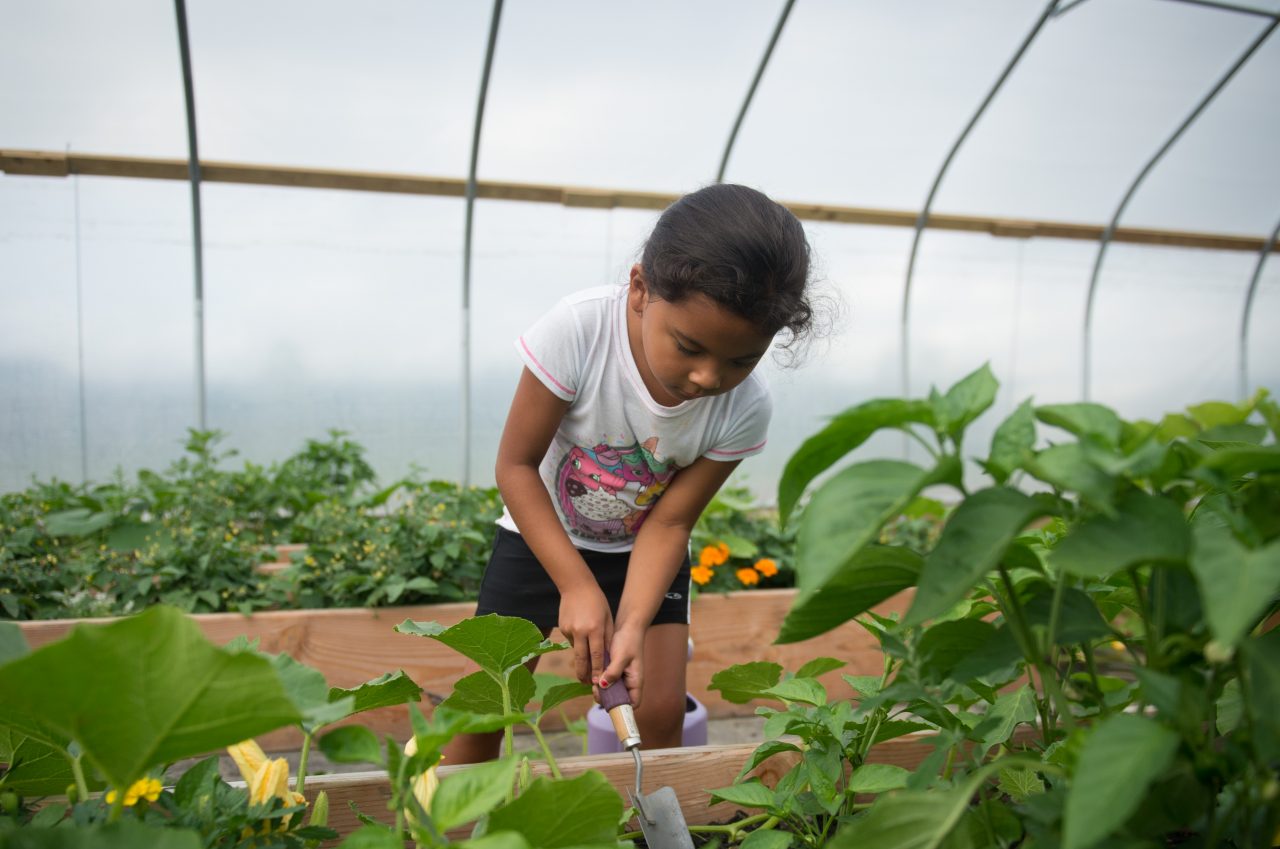 A young girl tending plants in a greenhouse.