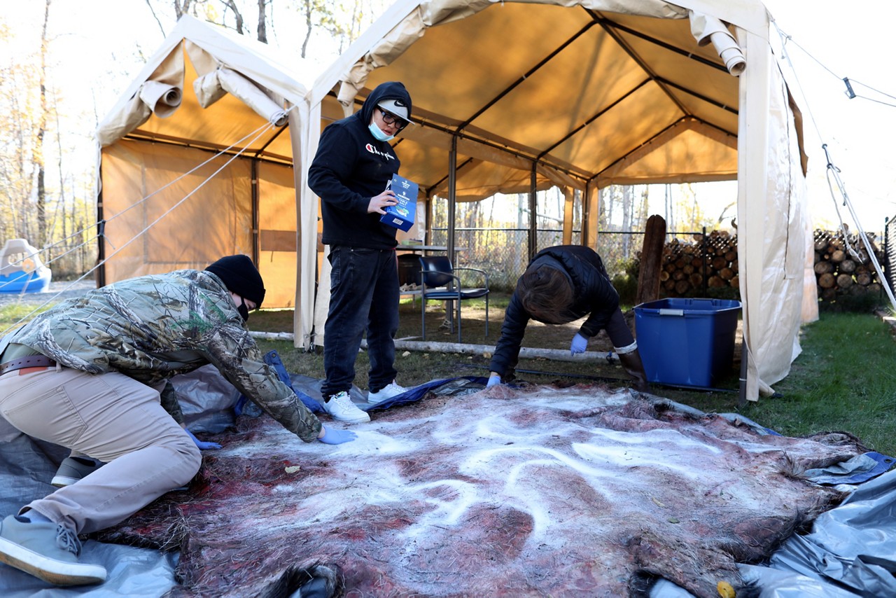 CHICKALOON, ALASKA - SEPTEMBER 28, 2021: Teacher Kari Shaginoff teaching students how to tan a moose hide at the Ya Ne Dah Ah School in Chickaloon, Alaska.