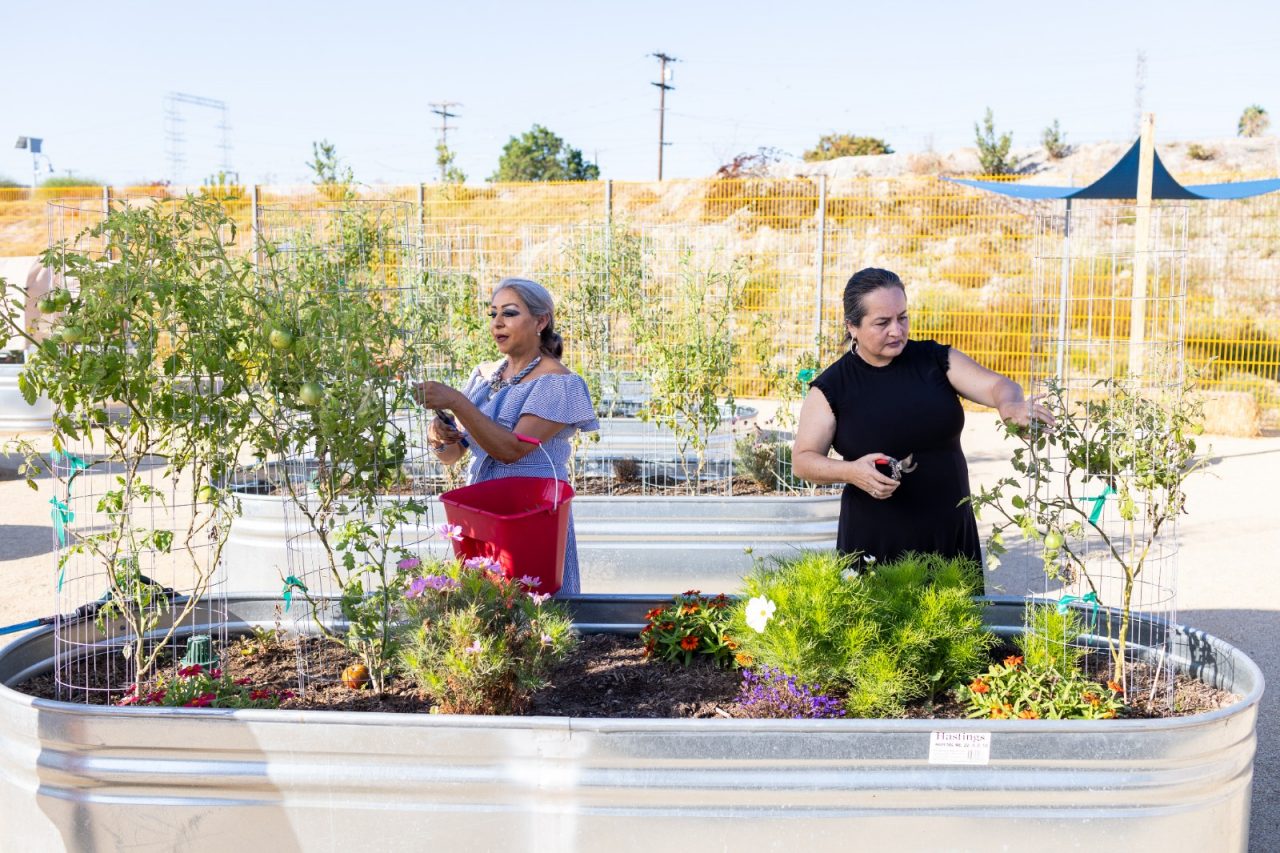 From left to right: Paradise Creek Apartments residents Silvia Calzada and Carmen Gaxiola work on their garden plots at the Paradise Creek Community Garden, which is managed by Mundo Gardens, in National City, California.