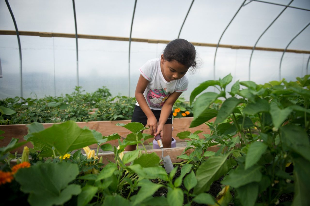 A young girl tending plants in a greenhouse.