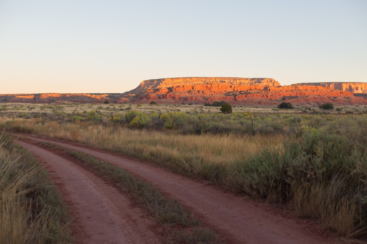 A landscape including a dirt road, greenery and a mesa in the background.