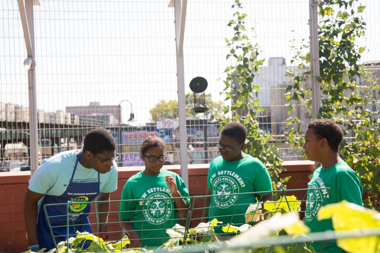 Students from the New Settlement Community Center summer camp look at their growing vegetables on the rooftop garden. Bronx NY