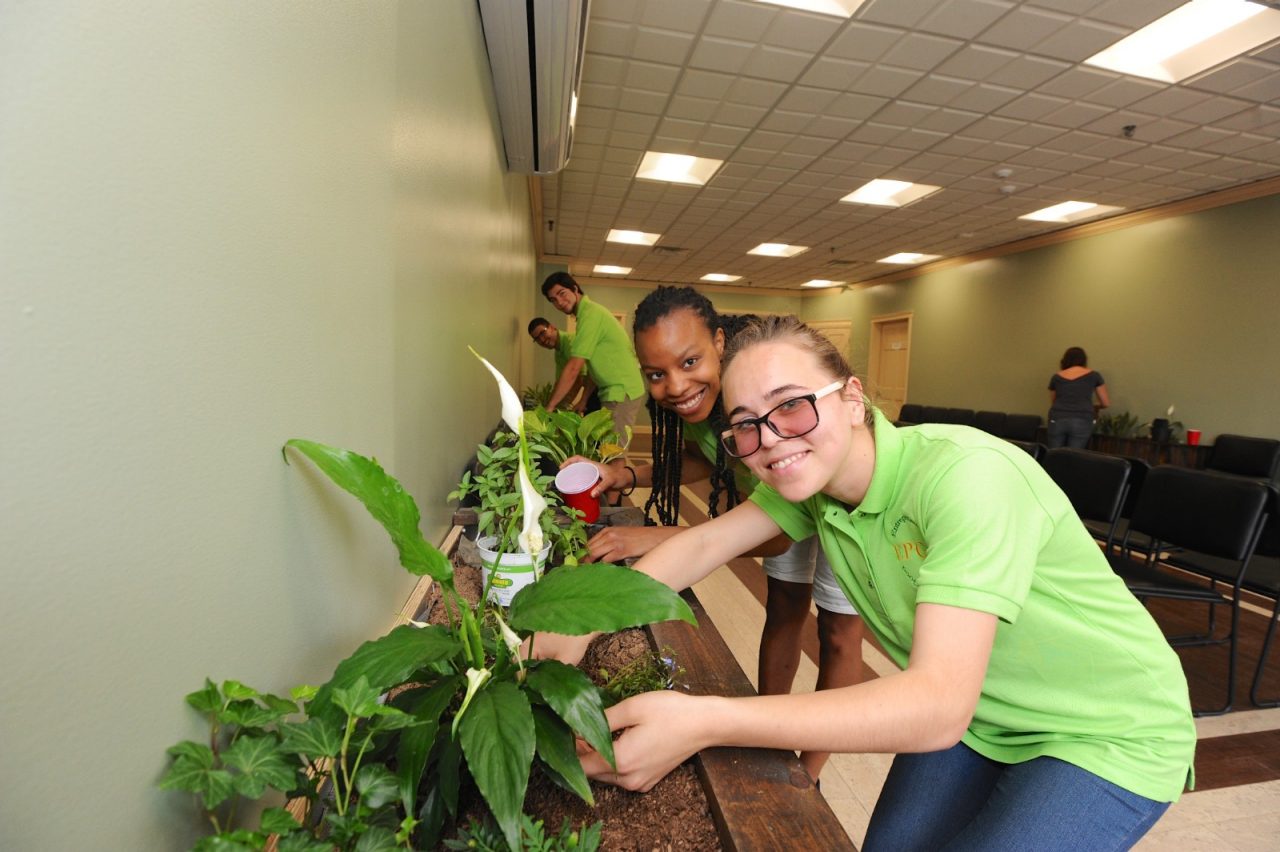 Students from Berea College plant flowers in the Williamson Health and Wellness center. The Entrepreneurship for the Public Good (EPG) Program at Berea College creates a multi-year, learning experience for undergraduate students to practice and implement Entrepreneurial Leadership in rural communities of Central Appalachia. Williamson W.Va., Wed, May 28, 2014. (AP Photo/Tyler Evert)