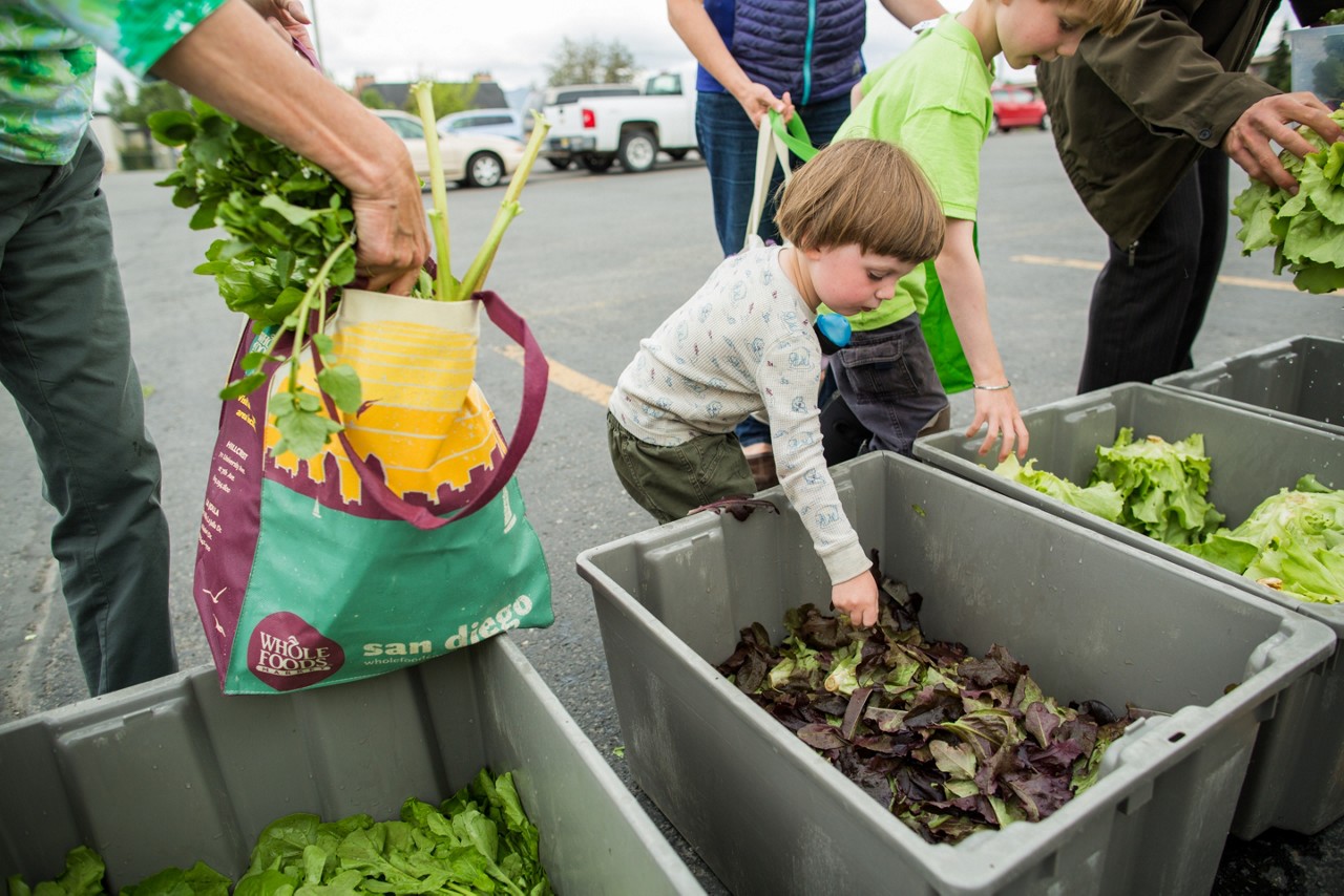 Anchorage, Alaska: Signs of Progress Toward Reversing the Childhood Obesity Epidemic.
Decline in obesity among children in grades K, 1, 3, 5, and 7 from 2003-04 to 2010-11