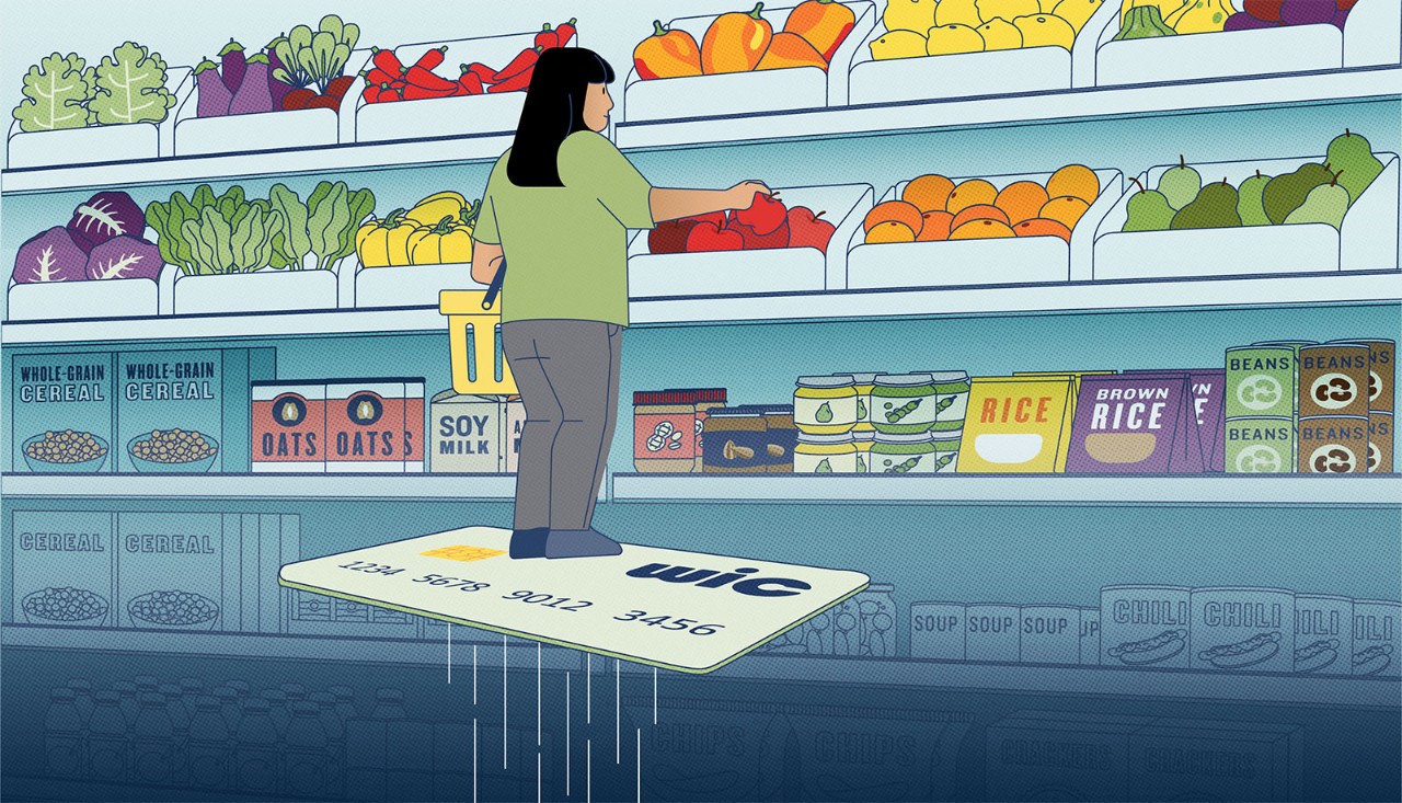 Grocery shopping illustration