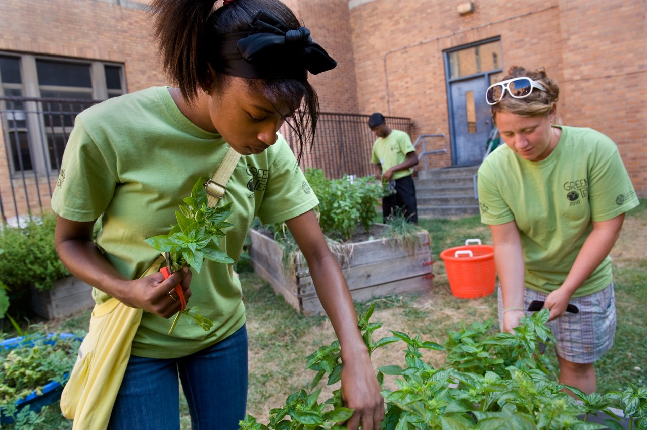 High school students working in a garden.