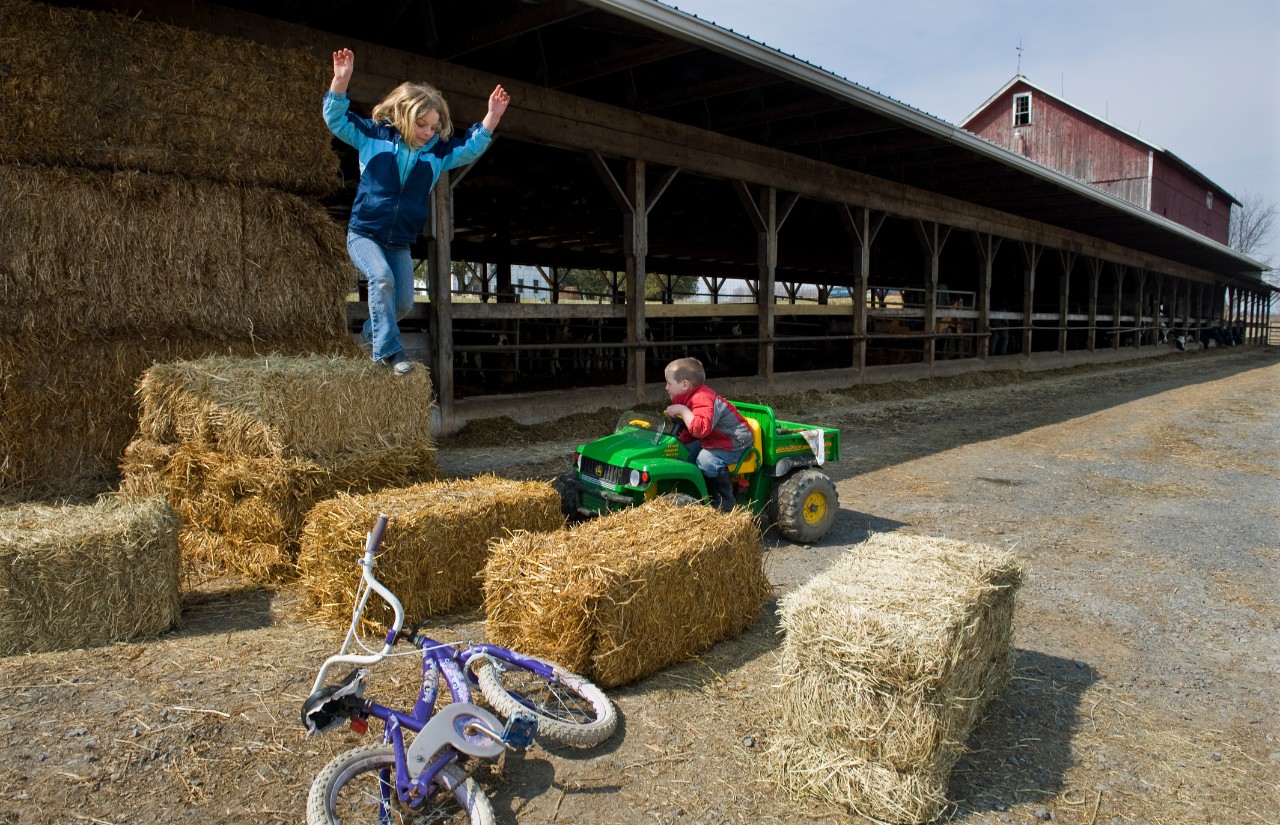 Children playing on hay bales. AUBURN, NEW YORK - MARCH 21: AJ Tidd, 4, and Emma Tidd, 6, play on their family farm in Auburn, NY March 21, 2010. The Tidd family has been hit hard by the recent drop in milk prices. They recently had to get rid of their health insurance because it had gotten too expensive.