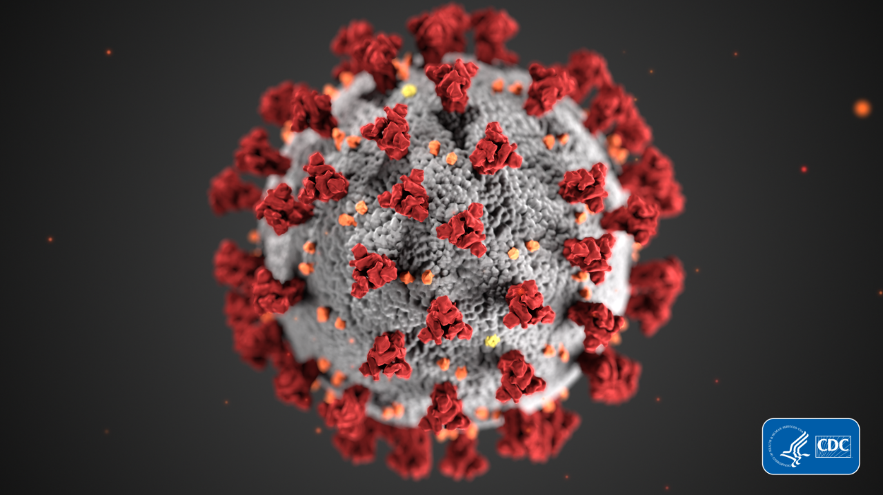 Coronavirus disease image from CDC