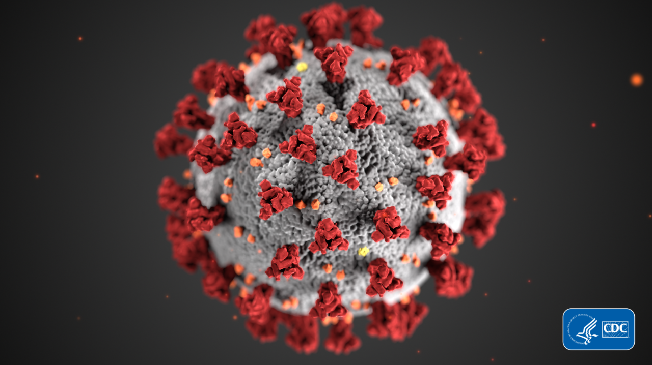 Coronavirus disease image from CDC Coronavirus disease image from CDC