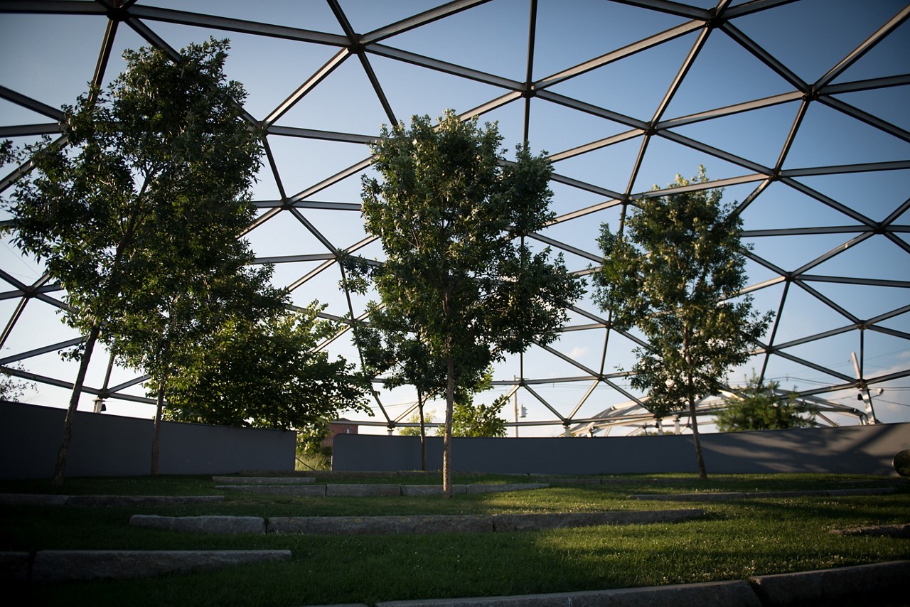 A domed grid rises over the tops of trees.