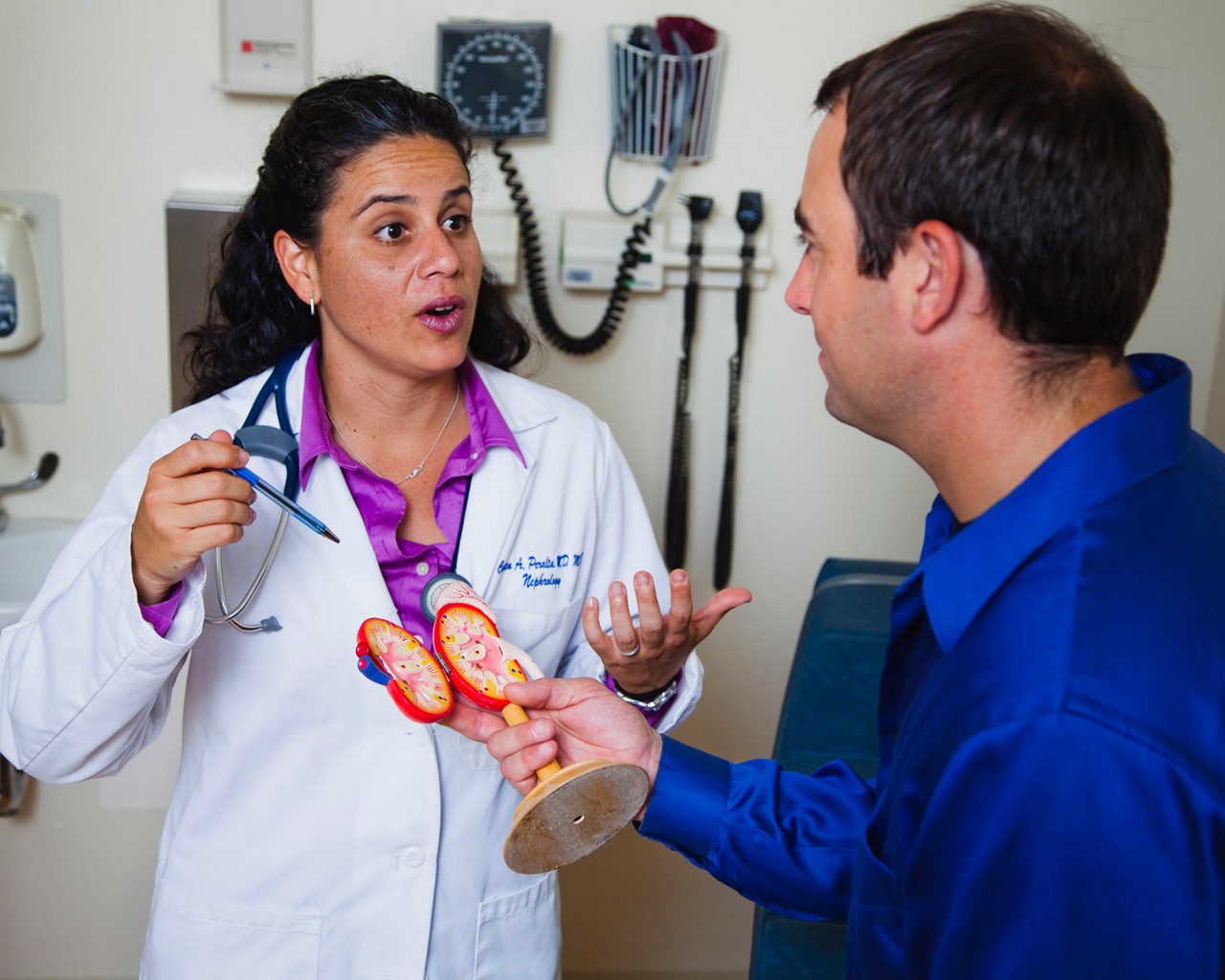 Carmen A. Peralta, MD, MAS
Assistant Professor in Residence; University of California San Francisco
San Francisco, Calif.
RWJF Young Leaders Awards
