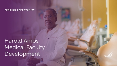 Harold Amos Medical Faculty Development image.