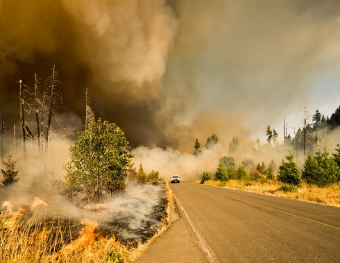 Jones Wildfires in Big Fall Creek Road, Lowell, Oregon